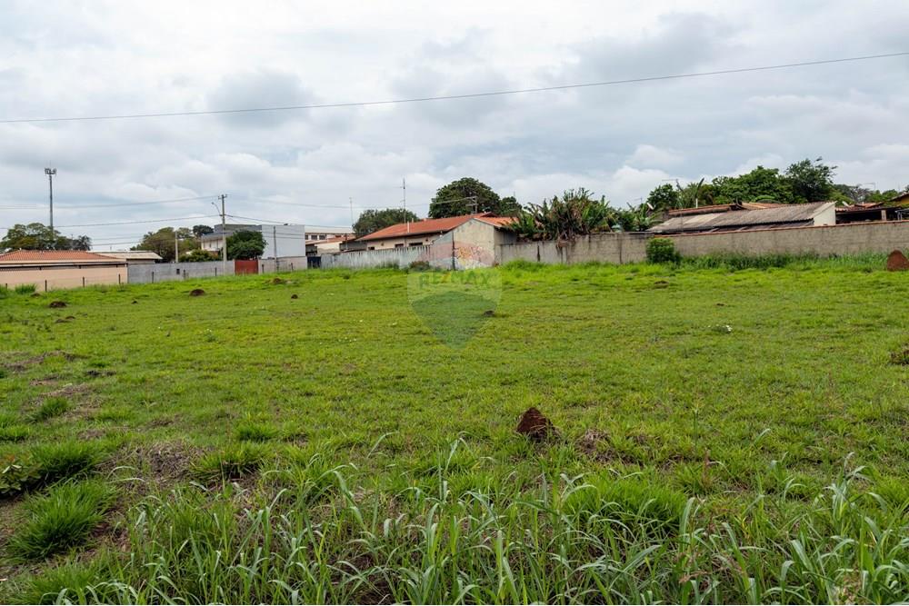 Terreno - Venda - Campinas , São Paulo - 1 (20).jpg - 691181018-45