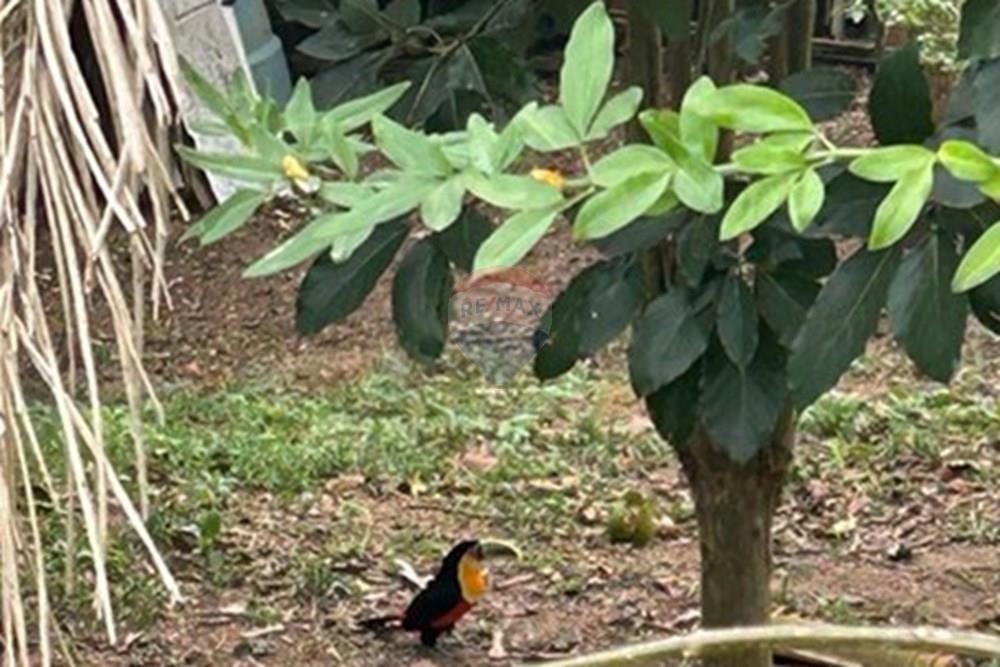 Chácara / Sítio / Fazenda - Venda - Atibaia , São Paulo - IMG-20250722-WA0038.jpg - 690661027-128