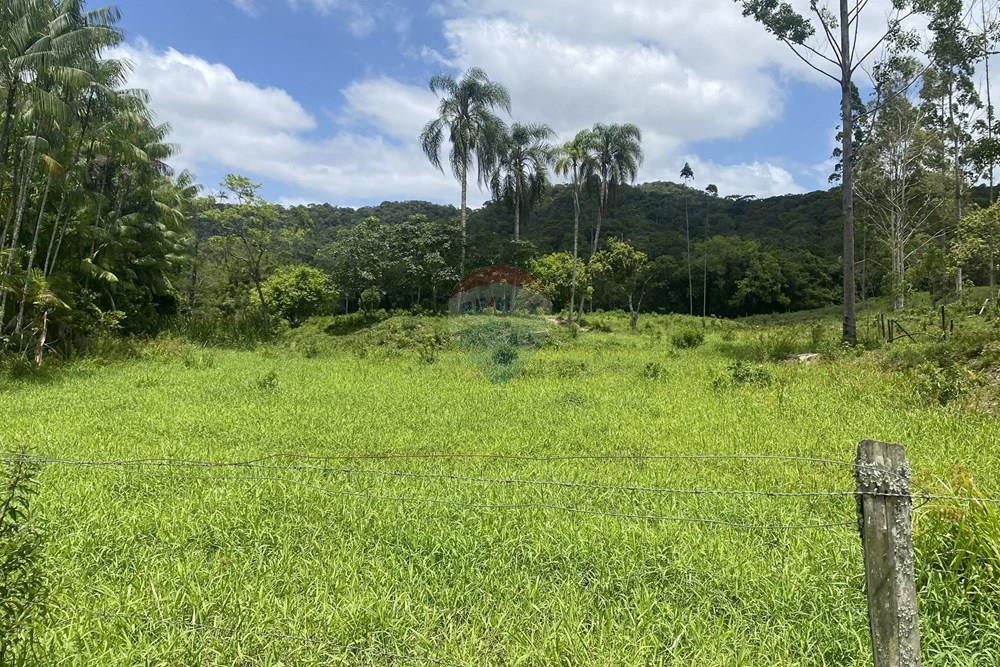 Fazenda - Venda - Pariquera-Açu , São Paulo - IMG_6131.jpg - 690061038-24