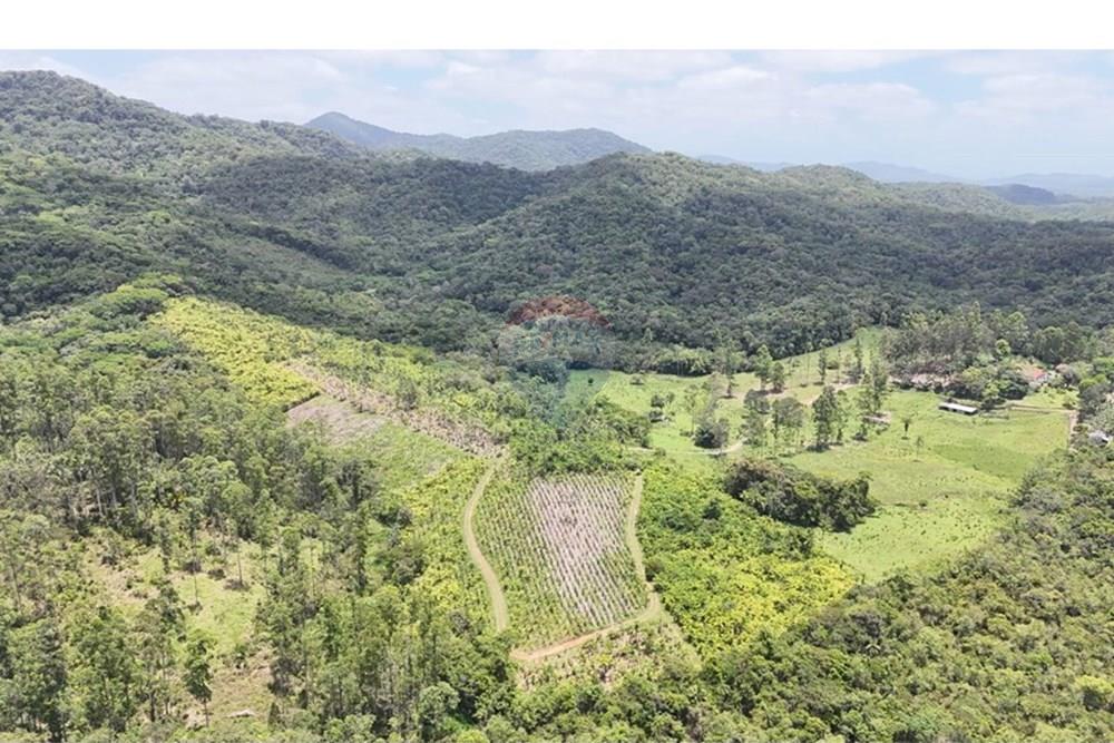 Fazenda - Venda - Pariquera-Açu , São Paulo - WhatsApp Image 2026-03-18 at 16.42.21.jpeg - 690061038-24