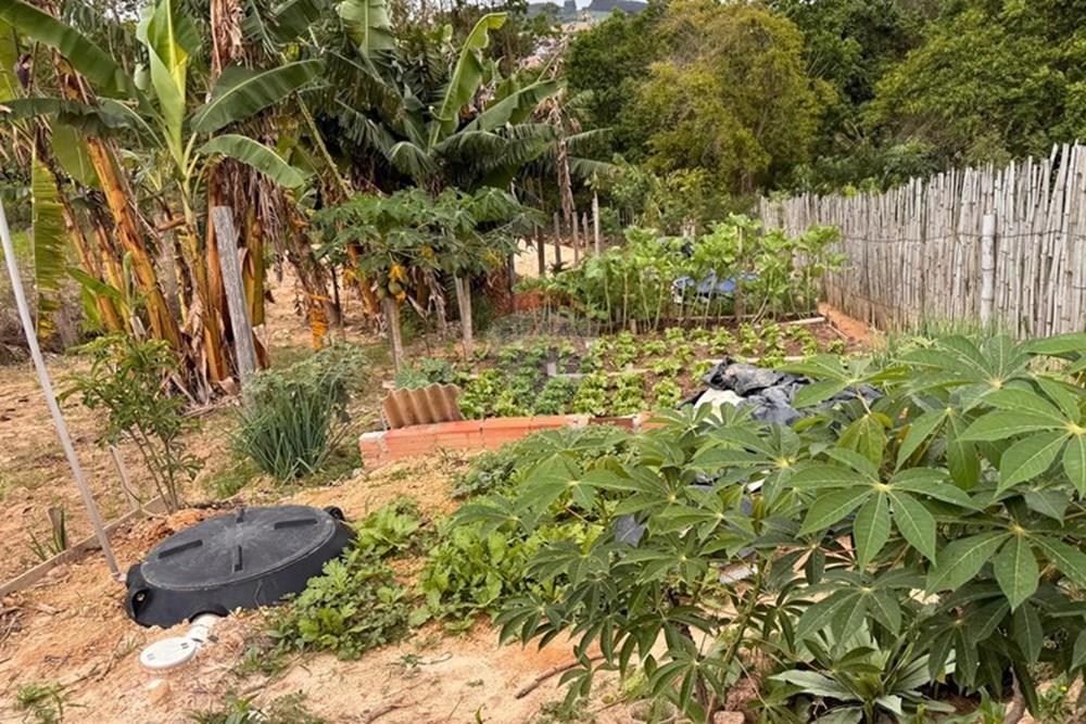 Chácara / Sítio / Fazenda - Venda - Mombuca , São Paulo - WhatsApp Image 2025-11-19 at 21.00.35 (2).jpeg - 690091006-559