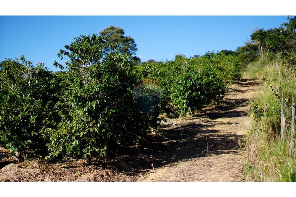 Chácara / Sítio / Fazenda - Venda - Serra Negra , São Paulo - _JEA8946.JPG - 690291056-34