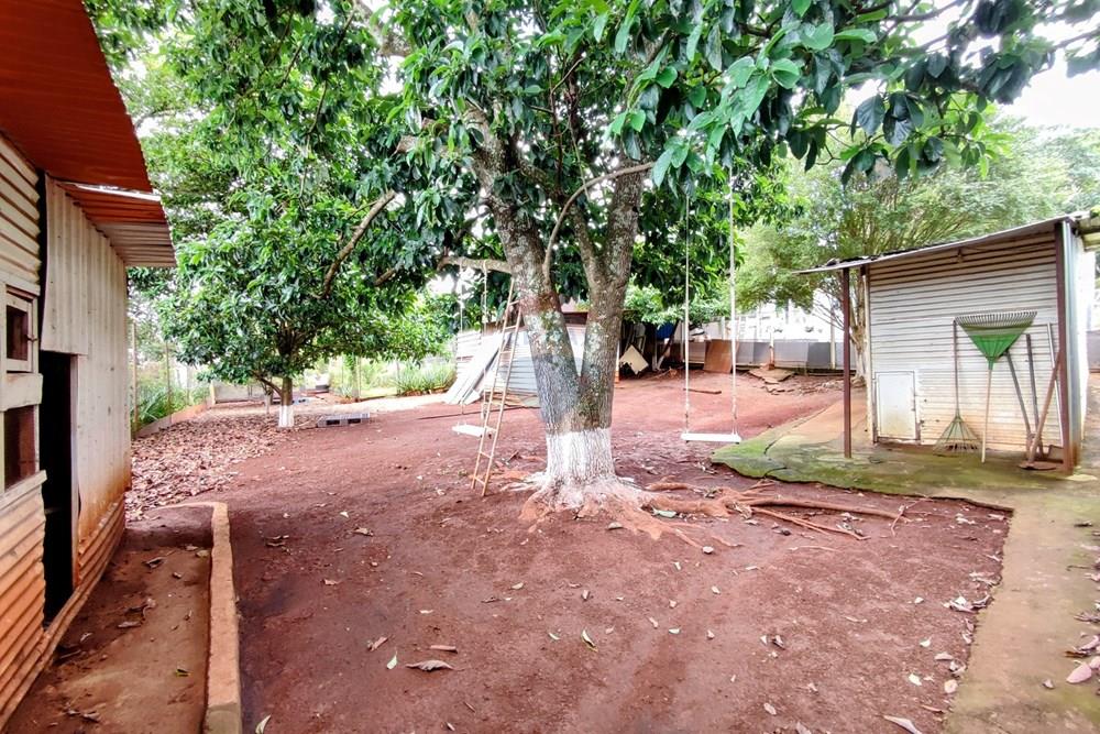 Chácara / Sítio / Fazenda - Venda - Mogi Mirim , São Paulo - 72.jpg - 690521007-331