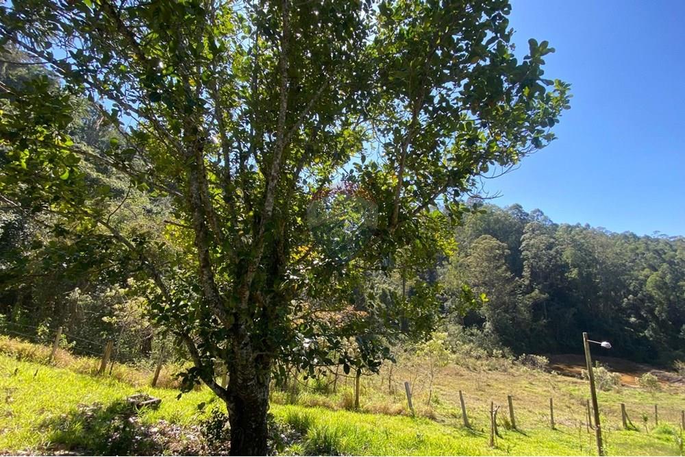 Chácara / Sítio / Fazenda - Venda - Joanópolis , São Paulo - 34e8c880-734f-4907-b821-5842219cb8bd.jpeg - 690041107-19