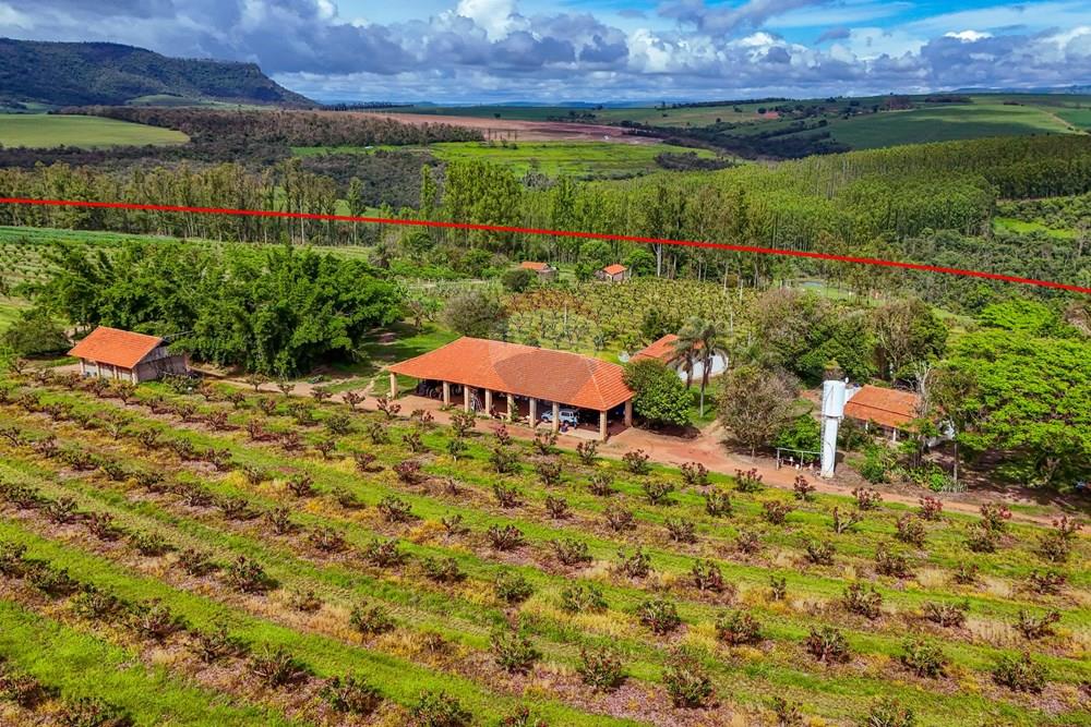 Fazenda - Venda - Analândia , São Paulo - Tratada - Drone-62.jpg - 690691016-305