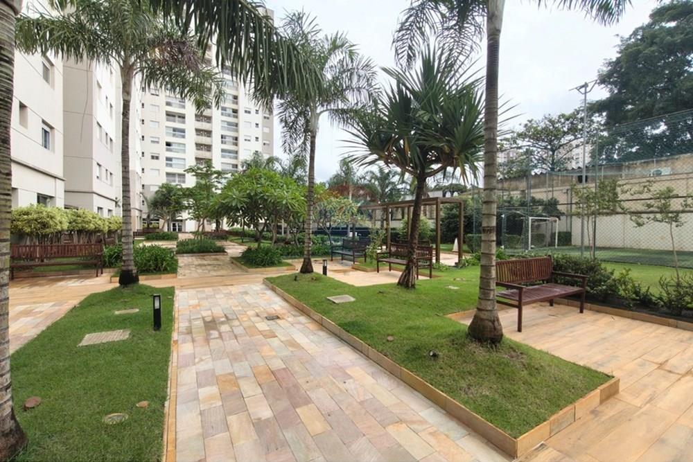 Apartamento - Alugar - Limeira , São Paulo - WhatsApp Image 2026-03-23 at 14.11.24.jpeg - 690741092-10