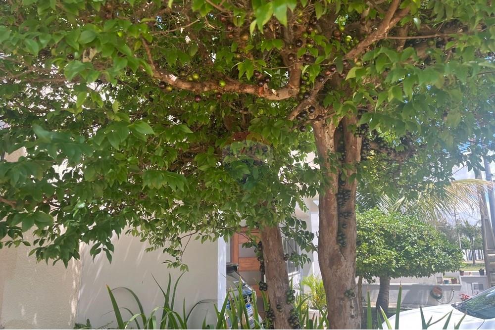 Casa de Condomínio - Venda - Paulínia , São Paulo - IMG-20250923-WA0103.jpg - 690511143-102