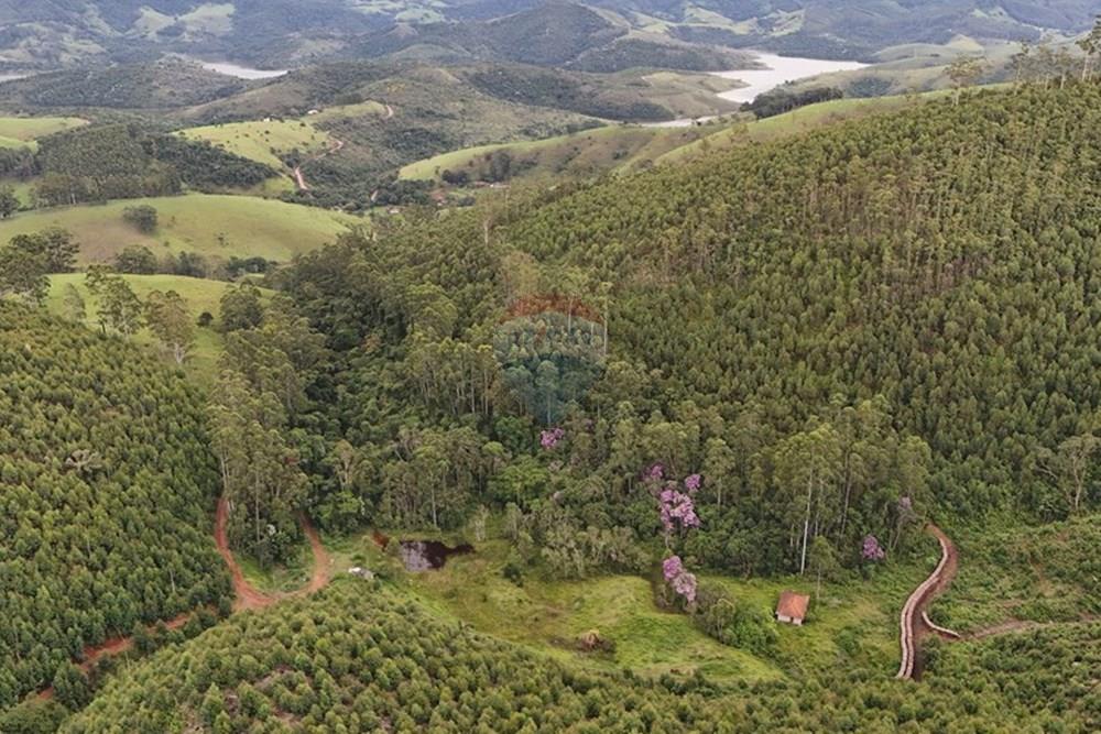 Chácara / Sítio / Fazenda - Venda - Piracaia , São Paulo - dji_fly_20260224_171702_0075_1771962330160_photo.jpg - 691011027-7