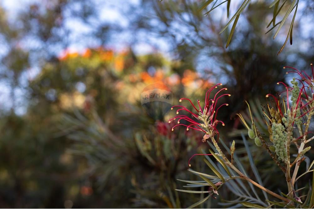 Casa de Condomínio - Alugar - Vinhedo , São Paulo - TakeDroneBr-23964.jpg - 690941045-2