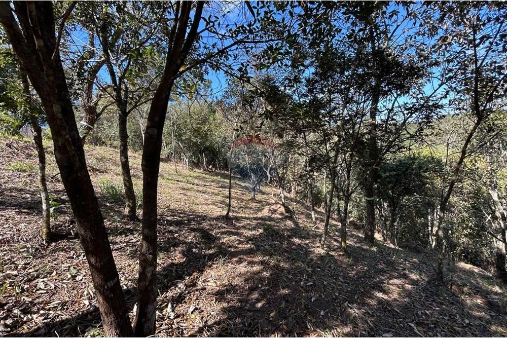 Terreno - Venda - Jarinu , São Paulo - IMG-20250819-WA0024.jpg - 690661027-137