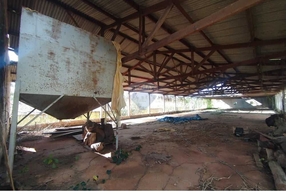 Chácara / Sítio / Fazenda - Venda - Itapira , São Paulo - IMG_20250620_135308.jpg - 690521014-142