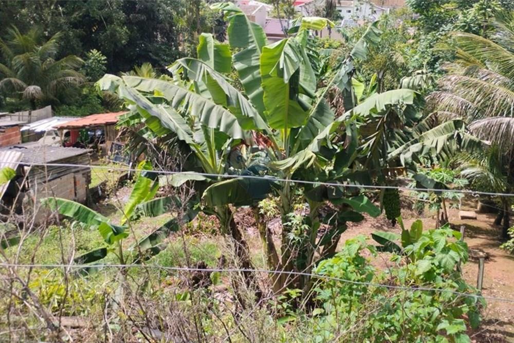 Terreno - Venda - Registro , São Paulo - WhatsApp Image 2026-01-20 at 10.32.50.jpeg - 690061040-37