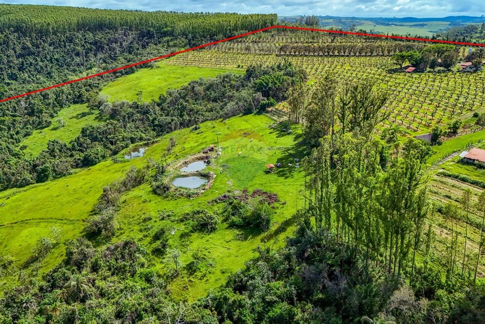 Fazenda - Venda - Analândia , São Paulo - Tratada - Drone-82.jpg - 690691016-305