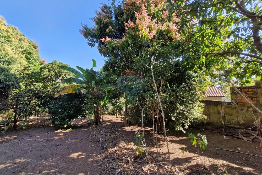 Residential - Land - Jaguariúna , Sao Paulo - BR - 20250814_151820.jpg - 690671008-326