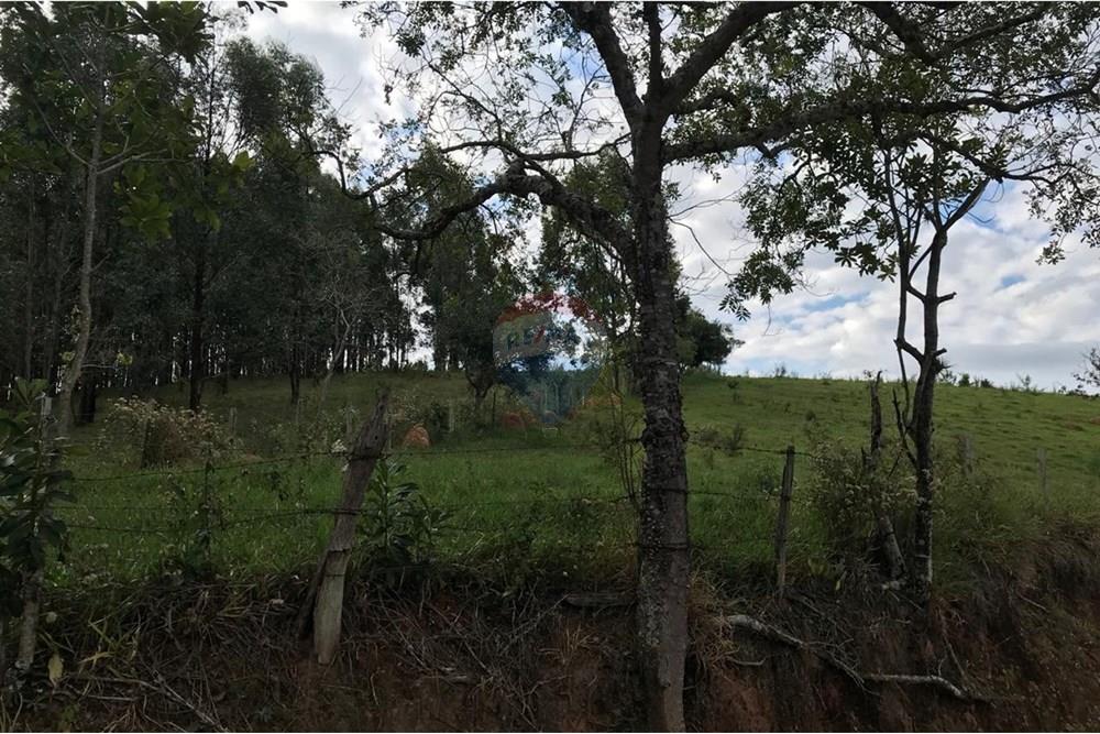 Chácara / Sítio / Fazenda - Venda - Socorro , São Paulo - IMG-20250520-WA0038.jpg - 690291056-39