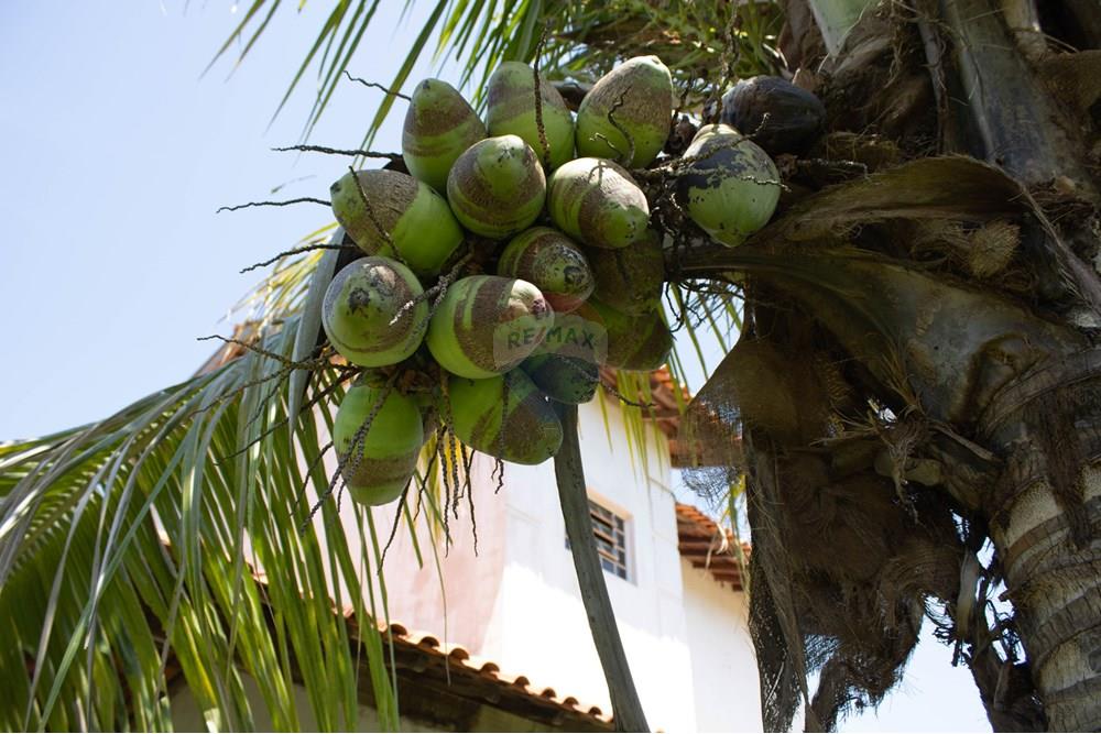 Chácara / Sítio / Fazenda - Venda - Rio Claro , São Paulo - IMG_0279.jpg - 690811057-32