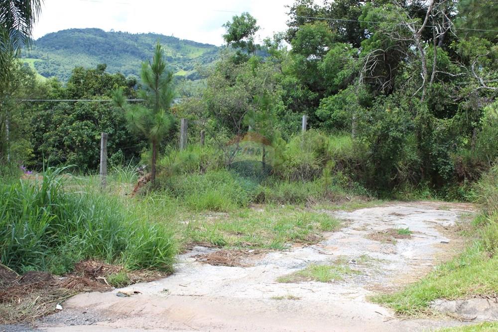 Terreno - Alugar - Vargem , São Paulo - IMG_3369.JPG - 690041127-129