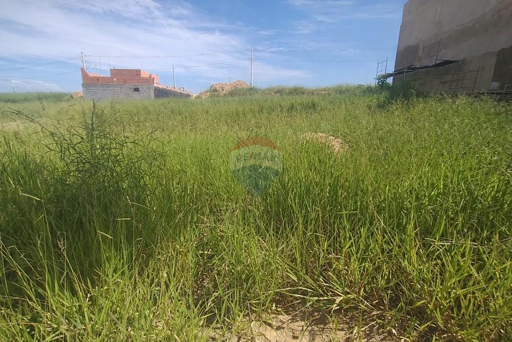 Terreno - Venda - Campinas , São Paulo - terreno_sem_placa.jpeg - 690531106-71