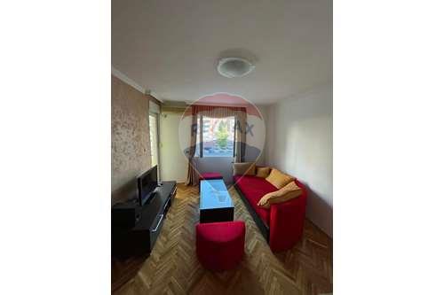 For Rent/Lease-Condo/Apartment-Stari Aerodrom  - Podgorica  - Montenegro-700011059-23