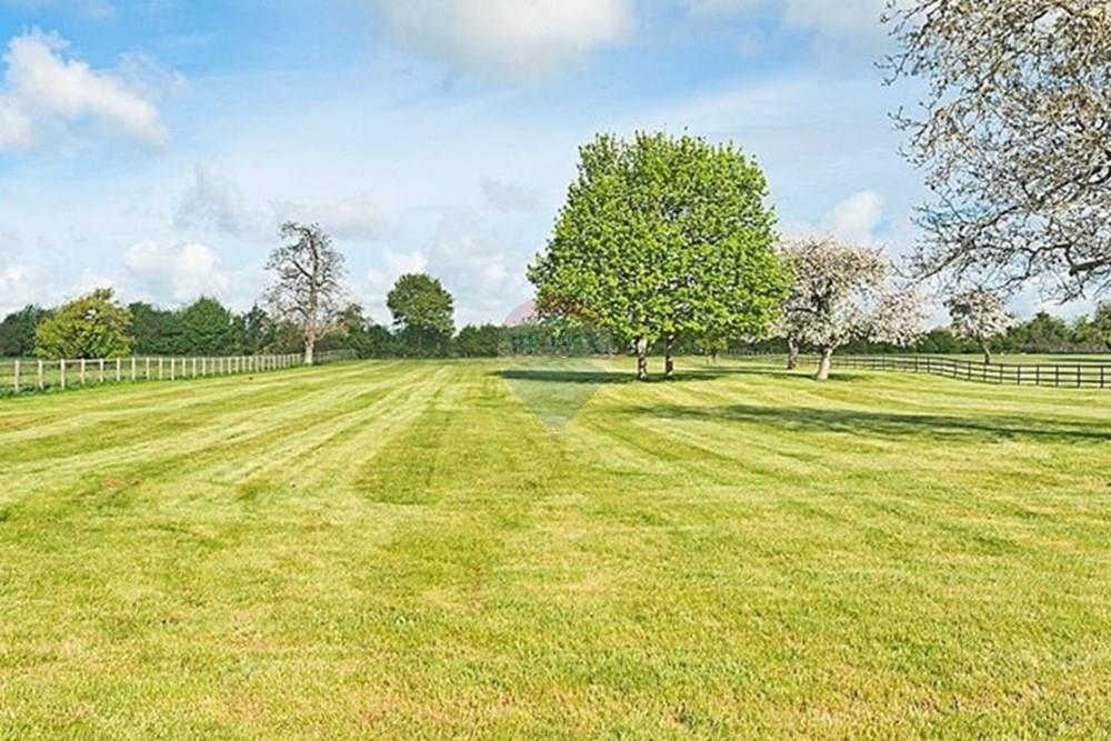 Apartamento - Venda - São Paulo , São Paulo - terreno.jpeg - 710051019-79