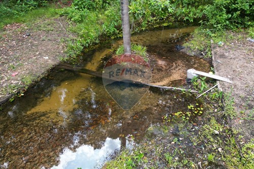 Venda-Chácara / Sítio / Fazenda-Zona Rural , Babaçulândia , Tocantins , 77870000-720991008-82