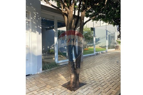 Alugar-Casa-Centro , Tangará da Serra , Mato Grosso , 78300000-722431006-6