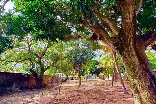 Venda-Terreno-Ponta Negra , Natal , Rio Grande do Norte , 59090320-720731001-2488