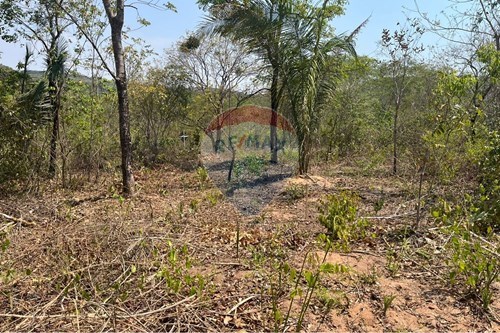 Venda-Chácara / Sítio / Fazenda-Rondonópolis , Rondonópolis , Mato Grosso , 78750899-720611061-12