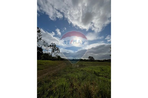 Venda-Chácara / Sítio / Fazenda-ALHANDRA , 1  - Próximo à PRF  - Centro , Alhandra , Paraíba , 58320000-722001005-103