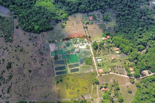 Slider Image Thumbnail