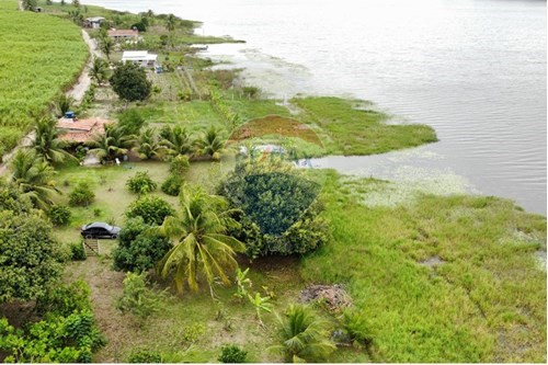 Venda-Chácara / Sítio / Fazenda-Povoado , Alhandra , Paraíba , 58320000-722011055-48