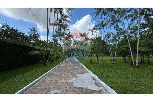 Venda-Casa de Campo-Murinim , Benevides , Pará , 68795-000-720921066-90