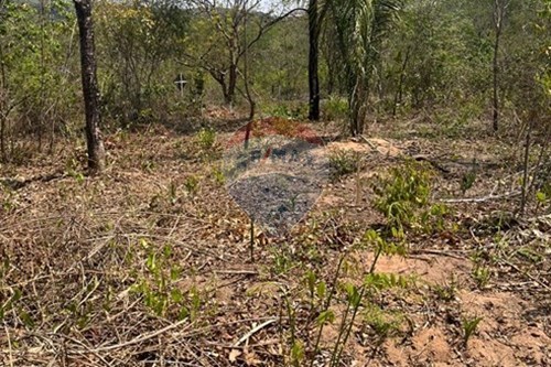 Venda-Chácara / Sítio / Fazenda-Rondonópolis , Rondonópolis , Mato Grosso , 78750899-720611061-10