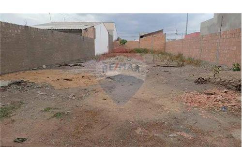 Venda-Terreno-Rua Projetada 03 , 30  - BURITIS , Sinop , Mato Grosso , 78559-376-721561003-11