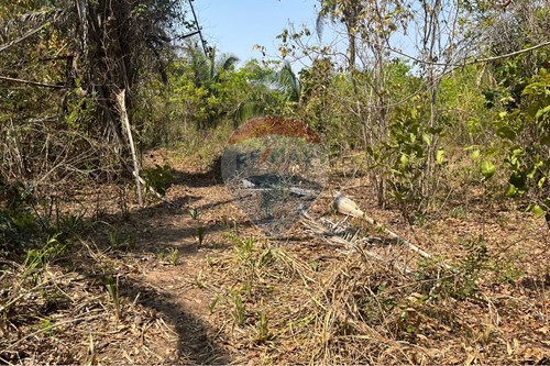 Venda-Chácara / Sítio / Fazenda-Rondonópolis , Rondonópolis , Mato Grosso , 78750899-720611061-9