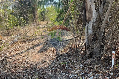 Venda-Chácara / Sítio / Fazenda-Rondonópolis , Rondonópolis , Mato Grosso , 78750899-720611061-14