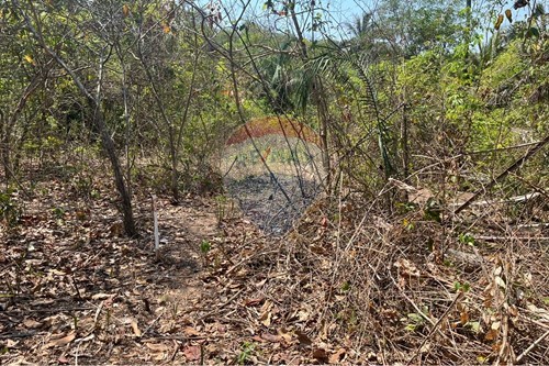 Venda-Chácara / Sítio / Fazenda-Rondonópolis , Rondonópolis , Mato Grosso , 78750899-720611061-8