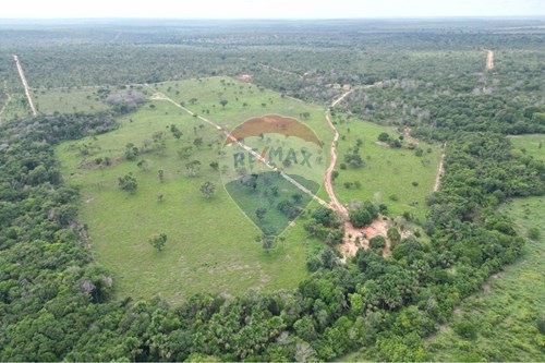 Venda-Fazenda-Zona Rural , Araguaína , Tocantins , 77834-899-720991010-81