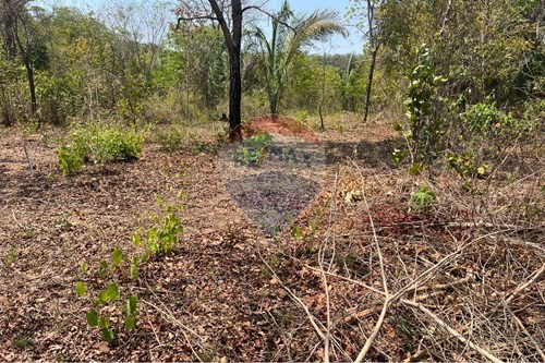 Venda-Chácara / Sítio / Fazenda-Rondonópolis , Rondonópolis , Mato Grosso , 78750899-722201043-37