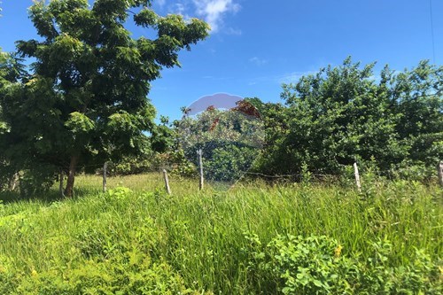 Venda-Terreno-R. Antonio Chagas , SN  - Preá , Cruz , Ceará , 62595000-722341001-199