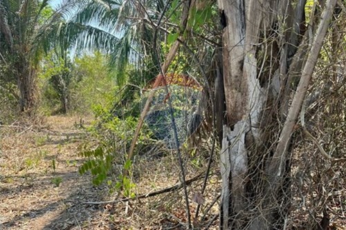 Venda-Chácara / Sítio / Fazenda-Rondonópolis , Rondonópolis , Mato Grosso , 78750899-720611061-11