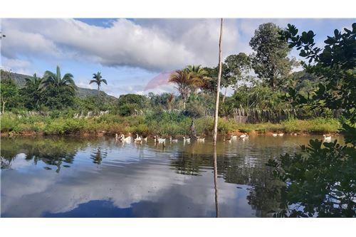 Venda-Chácara / Sítio / Fazenda-Rod. MT 471 , KM 17  - Rondonópolis , Rondonópolis , Mato Grosso , 78700-000-720561018-78