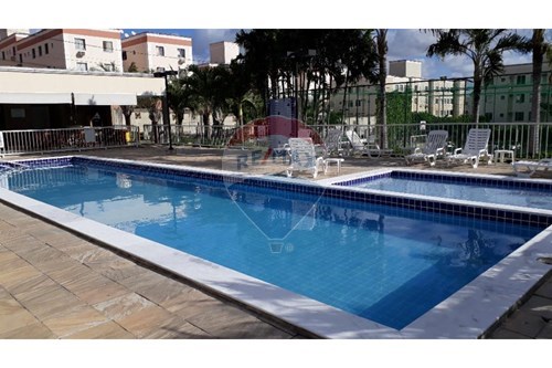 Alugar-Apartamento-Rua Adeodato José dos Réis, Nova Parnamirim , 51  - Nova Parnamirim , Parnamirim , Rio Grande do Norte , 59152820-720891124-31