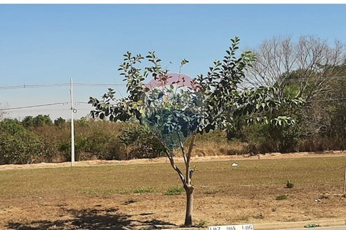 Venda-Terreno-Centro , Rondonópolis , Mato Grosso , 78717834-720611007-106