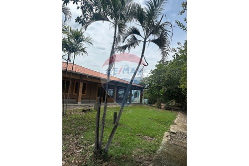 Venda-Chácara / Sítio / Fazenda-Centro , Barão de Melgaço , Mato Grosso , 78190-000-720851006-296