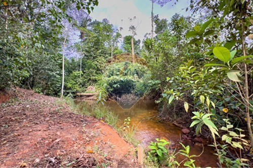 Venda-Chácara / Sítio / Fazenda-BR-364 , lote 291  - Porto Velho , Porto Velho , Rondônia , 76834899-721551004-302