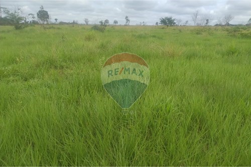 Venda-Chácara / Sítio / Fazenda-Chácaras , Confresa , Mato Grosso , 78652000-720641046-10