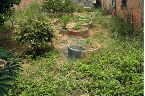 Venda-Terreno-Cidade Nova , Parauapebas , Pará , 68515000-722021020-8