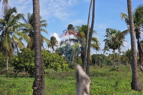 Slider Image Thumbnail