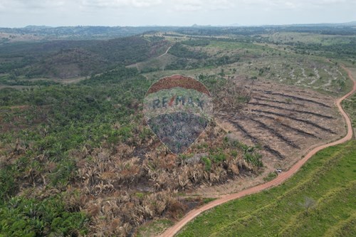 Venda-Chácara / Sítio / Fazenda-Zona Rural , Araguaína , Tocantins , 77819000-720991045-15